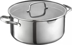 Masterchef - RVS Braadpan Met Glazen Deksel - 20 Cm