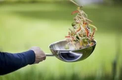 Demeyere Senses 5 RVS Wokpan - Inductie - 30 Cm – PTFE En PFAS Vrij -Korting Op Keukengerei 1200x786 3