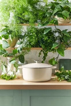 Tefal LOV Braadpan - 5L - Ø25 Cm - Beige -Korting Op Keukengerei 800x1200 34